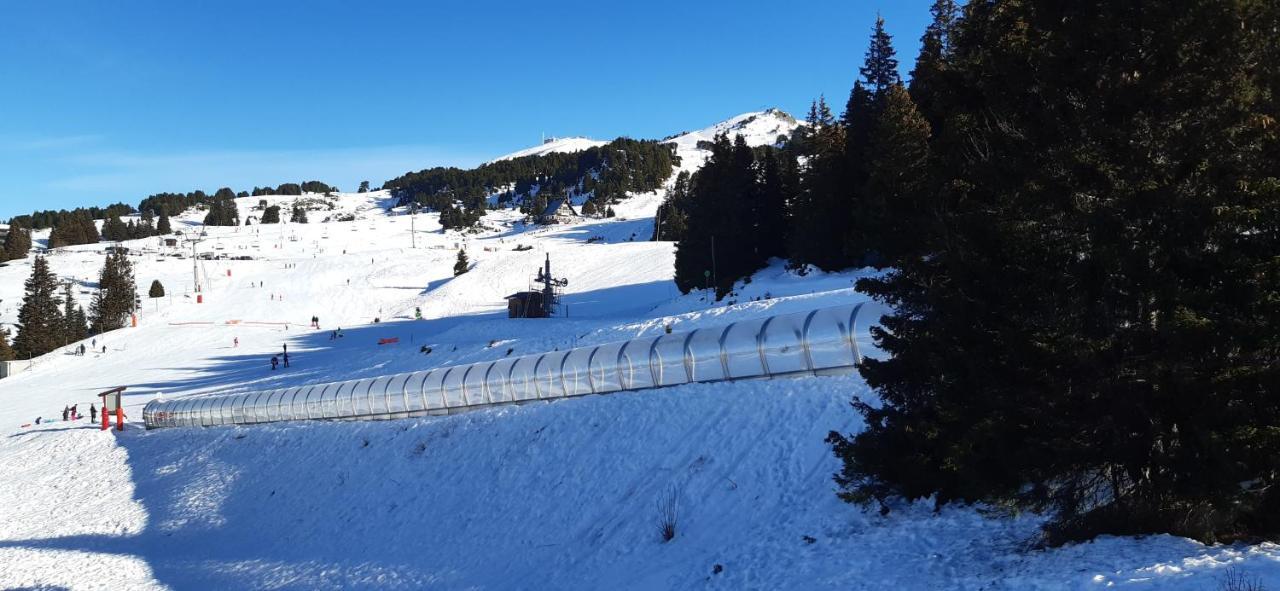 Studio Aux Pieds Des Pistes Roche Beranger Chamrousse Eksteriør billede